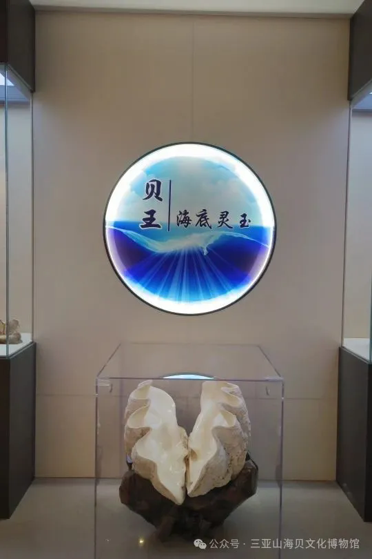 8.3暑期亲子研学活动~~