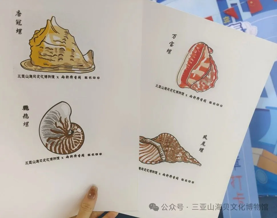 海洋宝藏来袭， 博物馆文创打卡套章上新啦！