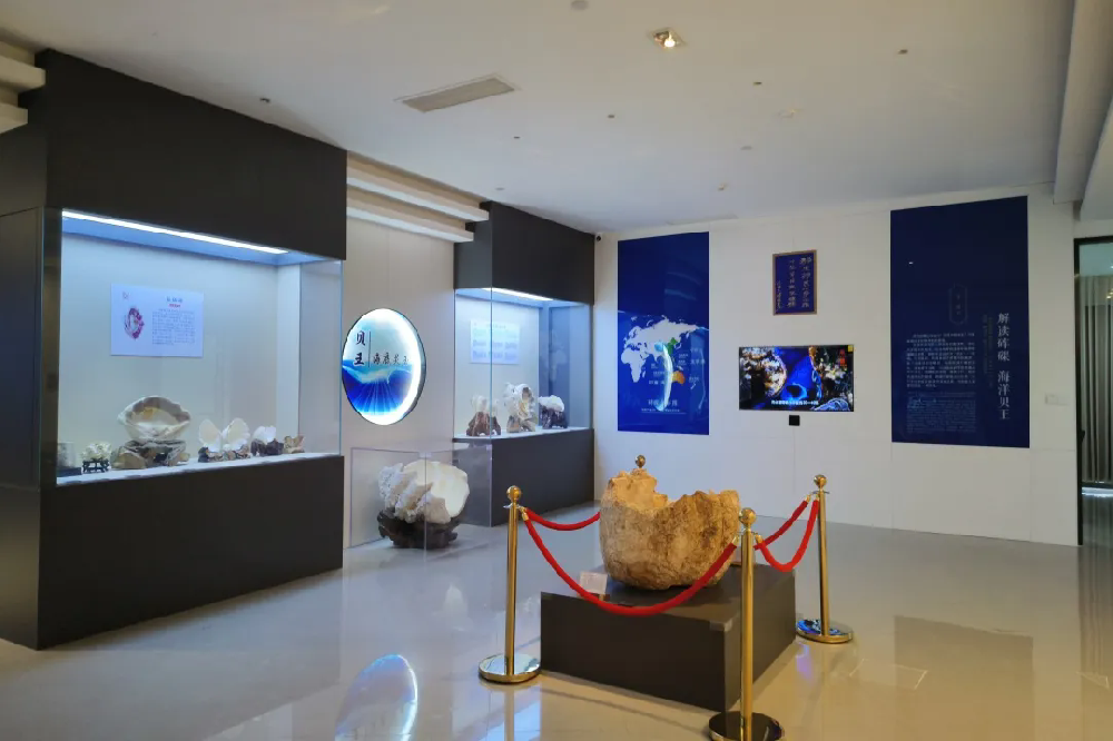 五一假期开放公告（内附活动推荐）