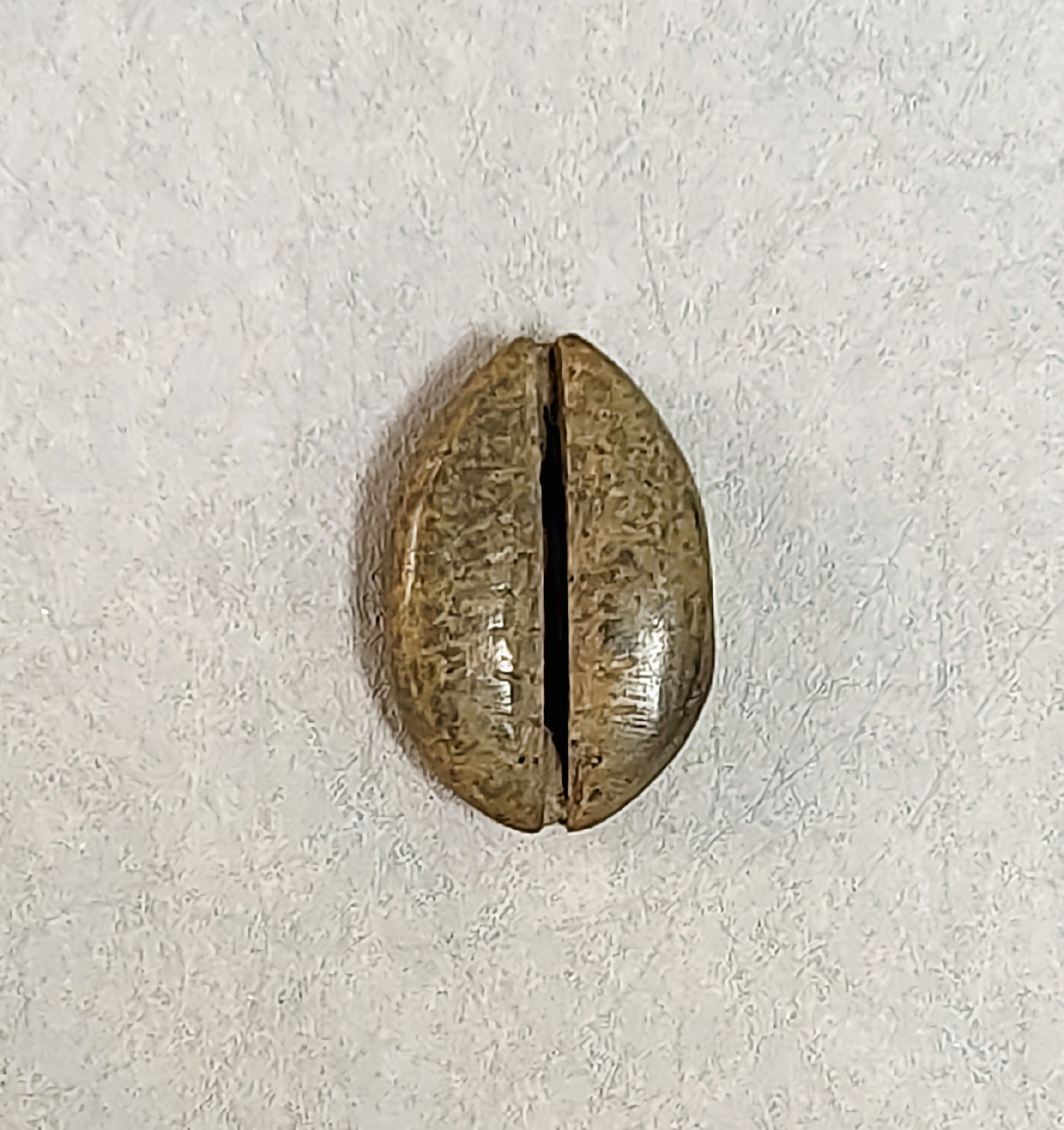 Z0738