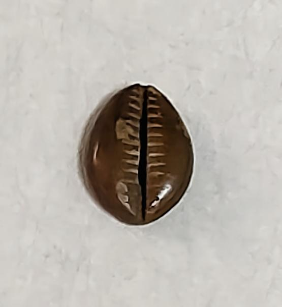 Z0740