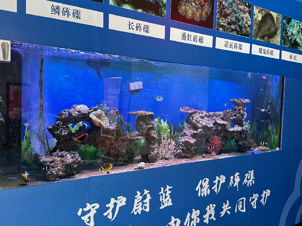 三亚山海贝文化博物馆解密海洋“贝类瑰宝”
