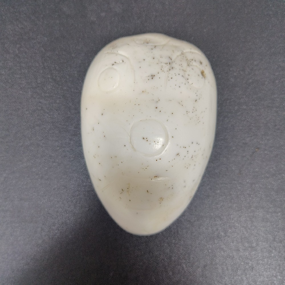特大砗磲贝币