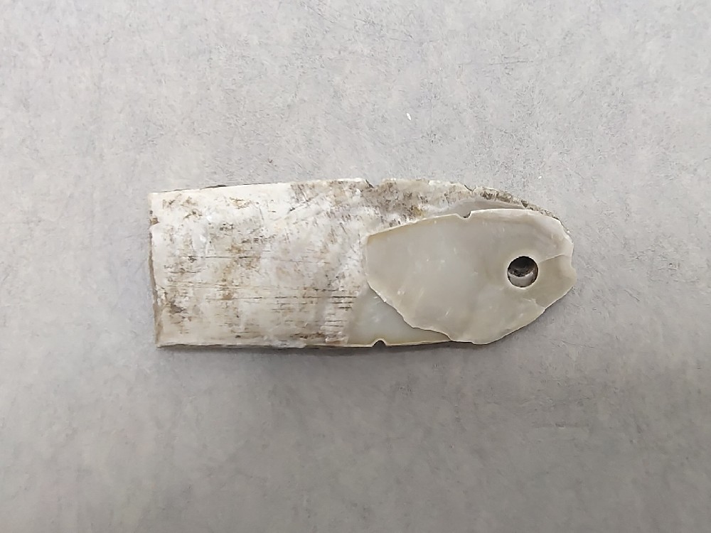 珍珠贝鱼形挂饰