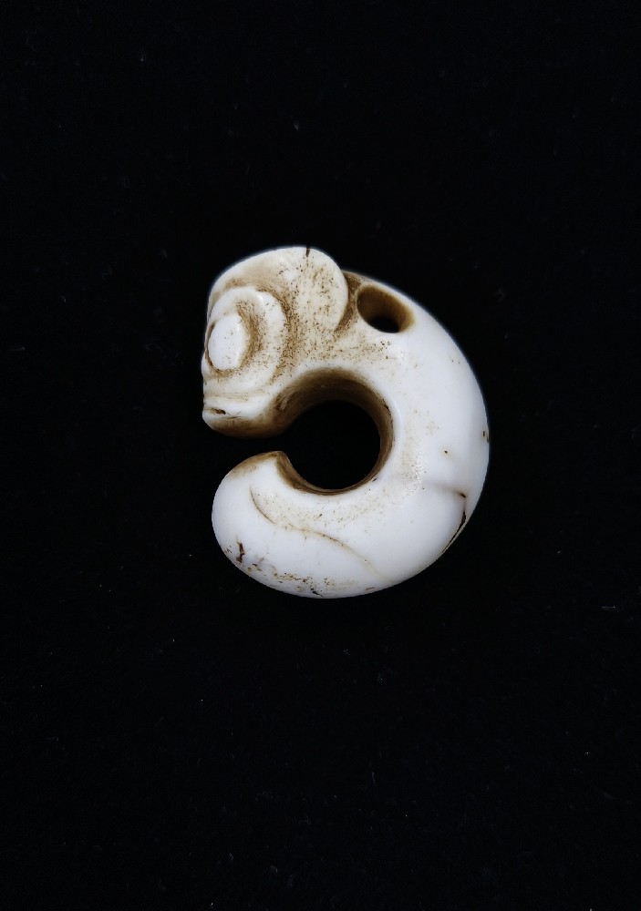砗磲猪龙（小）