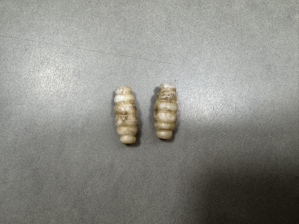 砗磲蚕形珠项饰