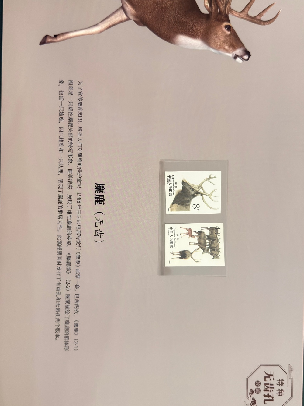 特种无齿孔珍邮